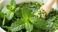 avoid crushing fresh mint