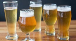 different beer glass styles
