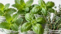 dry and store herbs