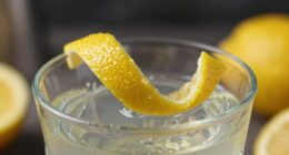 elevate drinks with citrus