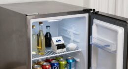 eliminate beverage fridge odors