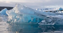 ice and water dilution