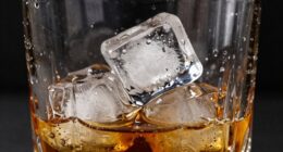 ice enhances drink experience