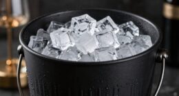 insulation enhances ice longevity