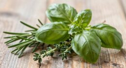 perfect herb combinations always