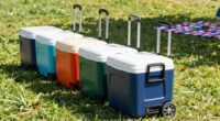 portable wheeled cooler feature