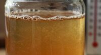 temperature affects fermentation quality