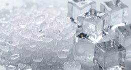 texture preference in ice