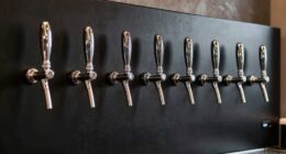 top beer tap wall mounts