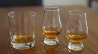 types of whiskey glasses