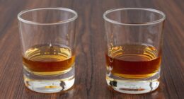 whiskey glasses comparison 2026