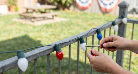 15 Best Patriotic Outdoor String Lights in 2026